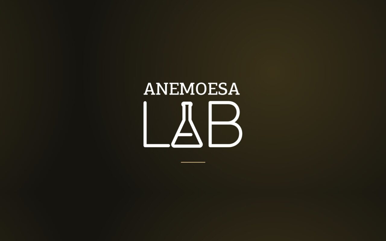ANEMOESA LAB