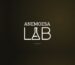 ANEMOESA LAB