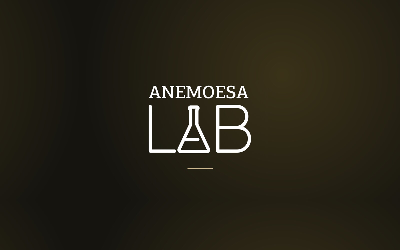 ANEMOESA LAB